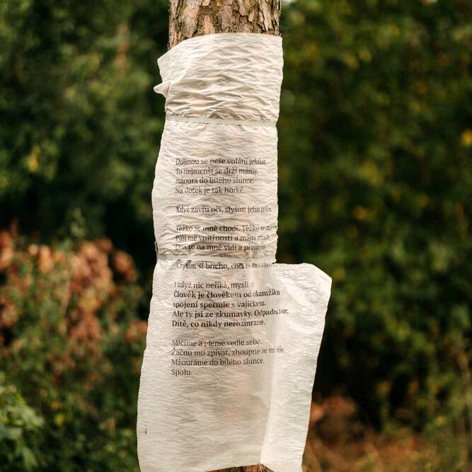 Kdyz-se-z-lesa-02-1000